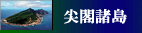 Senkaku
