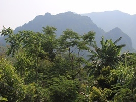 GGP Pongpha