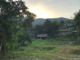 kusanone laingao