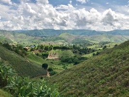 kusanone banhuayyasai