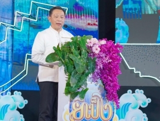 白白